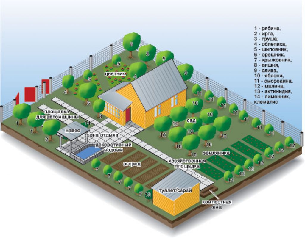 Схема расположения плодовых деревьев и кустарников на участке